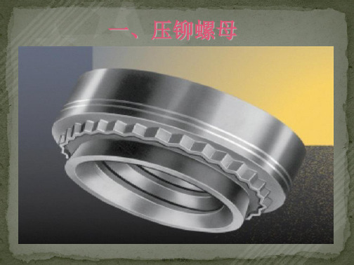 压铆件基本规格表