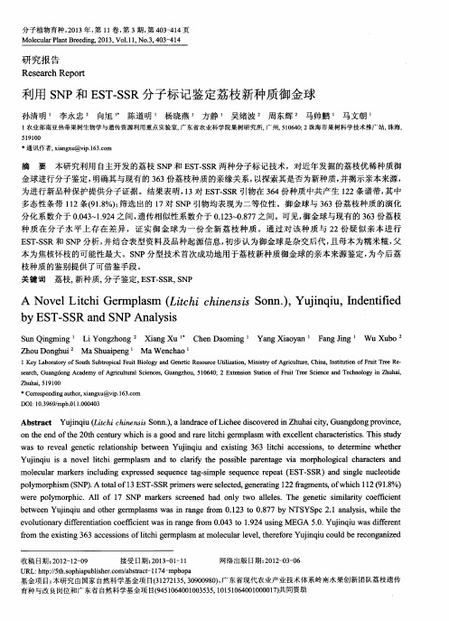 利用SNP和EST-SSR分子标记鉴定荔枝新种质御金球