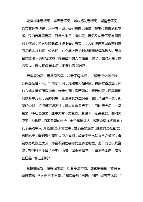 看得见与看不见范文