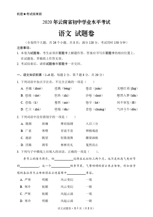 2020云南省初中学业水平考试语文试题卷