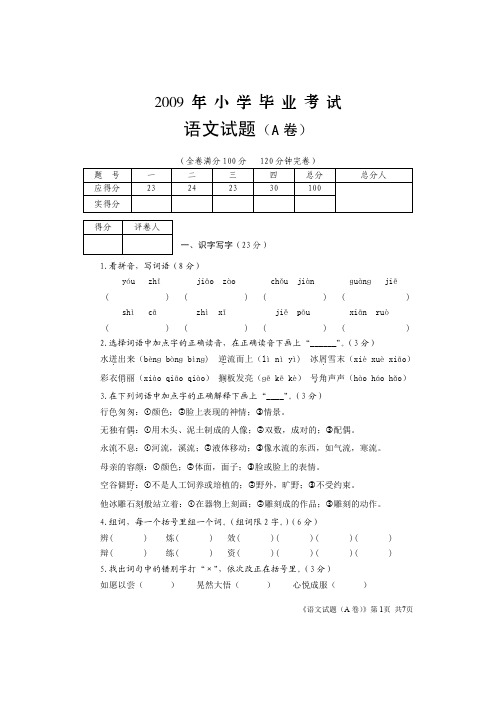 2009年小学毕业考试-语文题A