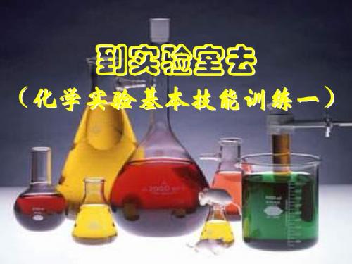 鲁教版(五四制)八年级化学 到实验室去：化学实验基本技能训练(一)
