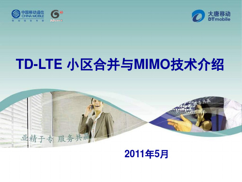 04-大唐公司-LTE小区合并及MIMO技术介绍课件