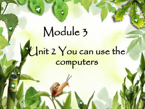 Module 3 Unit 2 You can use the computers 课件2