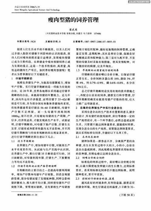 瘦肉型猪的饲养管理