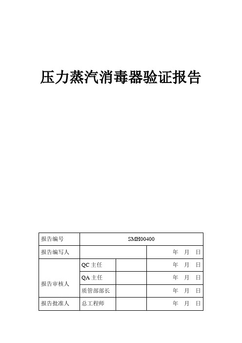 压力蒸汽消毒器验证报告