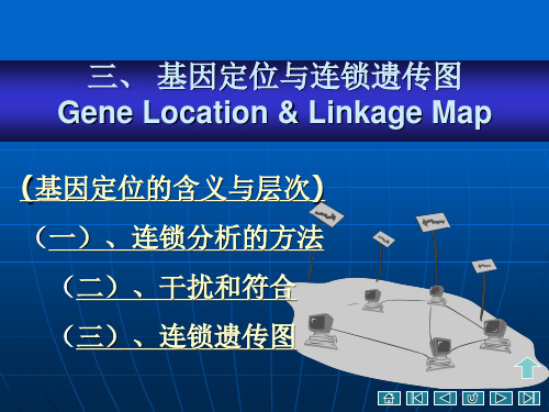 第六章基因定位与遗传连锁图02