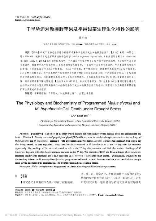 干旱胁迫对新疆野苹果及平邑甜茶生理生化特性的影响