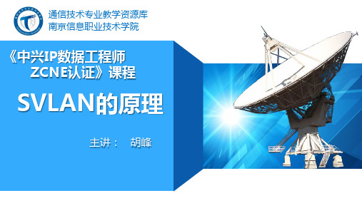 SVLAN的原理(精)