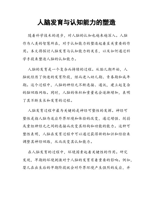 人脑发育与认知能力的塑造