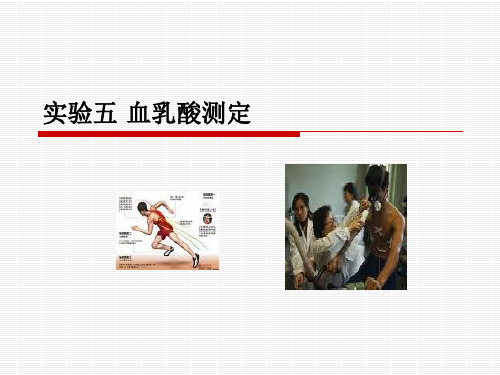 血乳酸测定 (2)