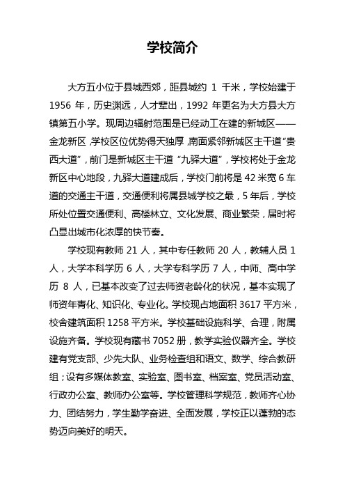 大方县第五小学简介