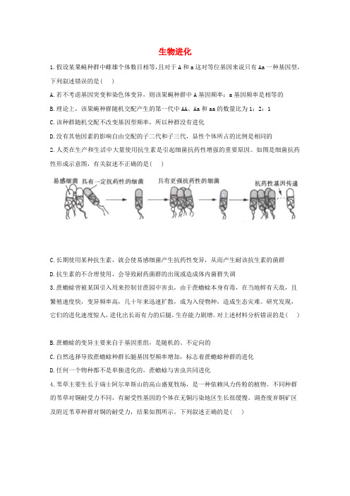 高考生物一轮复习联考质检卷精编8生物进化含解析