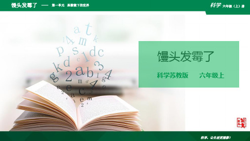 1.3 馒头发霉了 课件