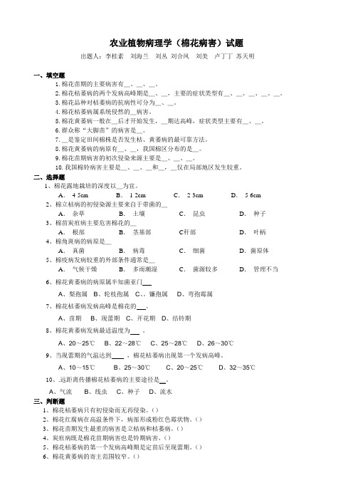 棉花试题