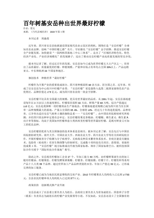 百年树基安岳种出世界最好柠檬
