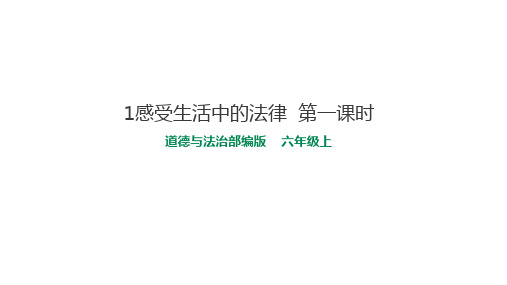 【部编版道德与法治】感受生活中的法律ppt完美版1