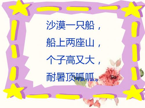 《骆驼和羊》课件