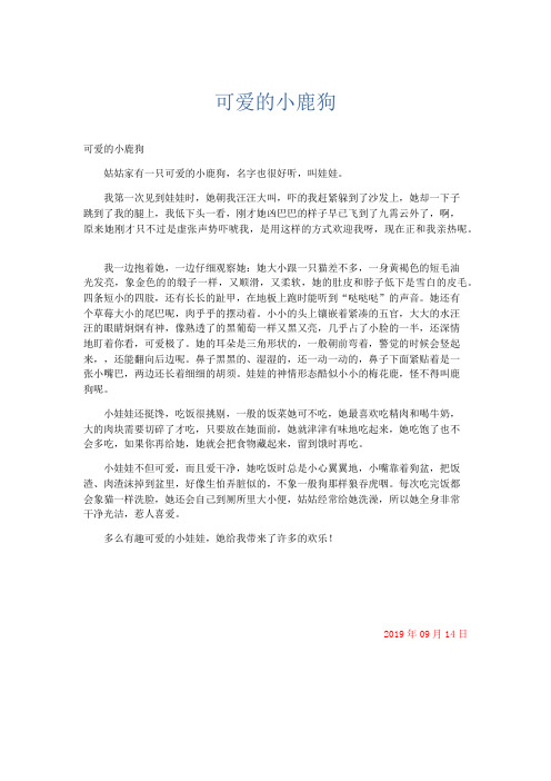 小学记叙文 可爱的小鹿狗-精品