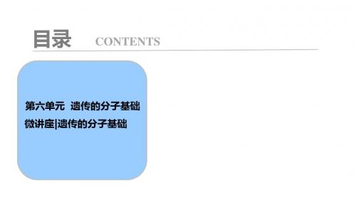 高考生物一轮复习微讲座课件第六单元  遗传的分子基础 (共28张PPT)