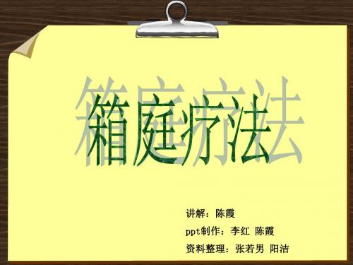 箱庭疗法最终ppt课件