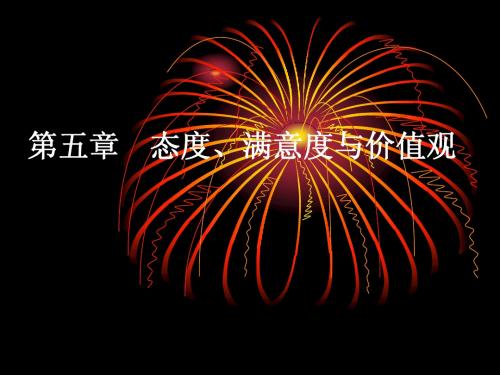 第五章  态度、价值观与满意度