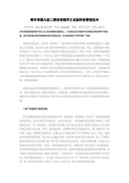 青年母猪九段二期培育程序之攻胎阶段管理技术