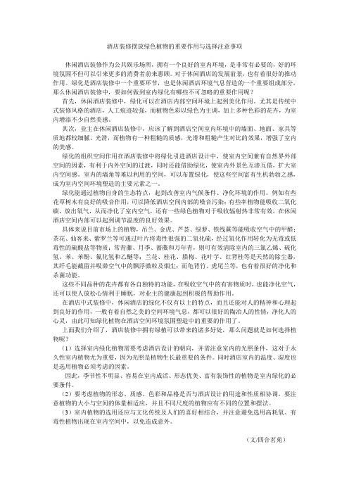 酒店装修摆放绿色植物的重要作用与选择注意事项