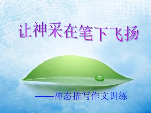 神态描写作文教学