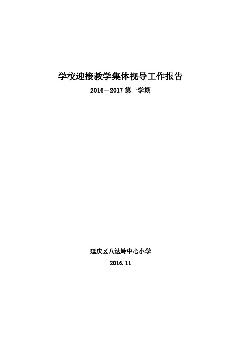 集体视导报告