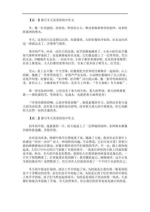 最新描写冬天美景的初中作文大全【十篇】