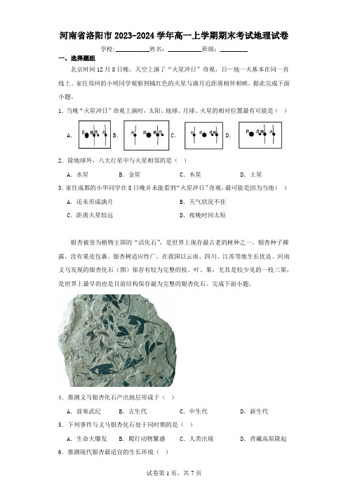 河南省洛阳市2023-2024学年高一上学期期末考试地理试卷(含解析)