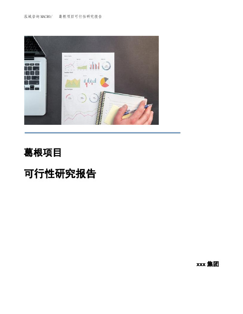 葛根项目可行性研究报告