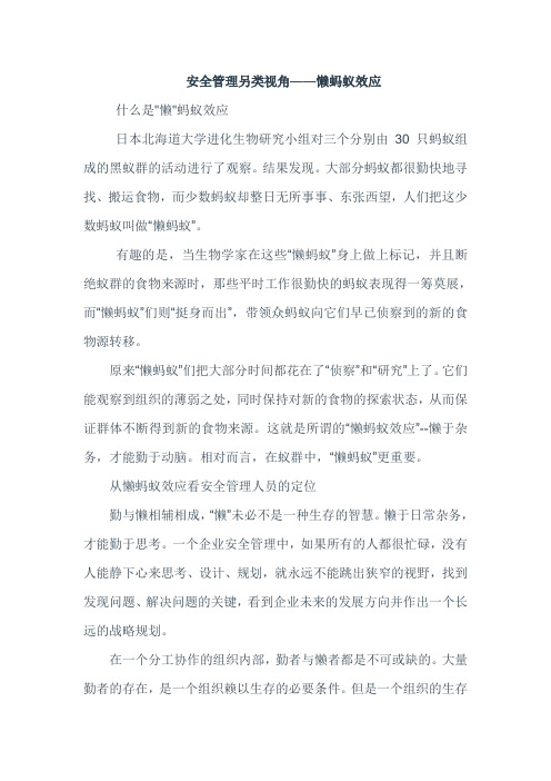 安全管理另类视角——懒蚂蚁效应