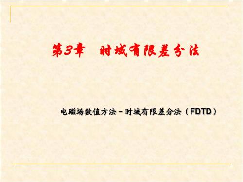 时域有限差分