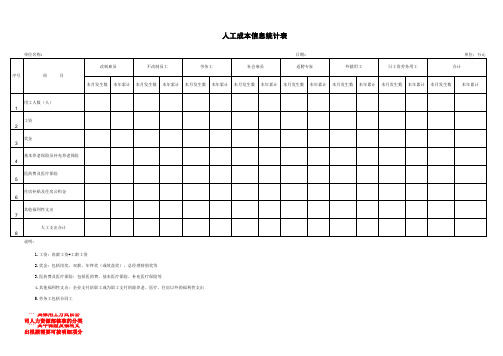 人工成本信息统计表