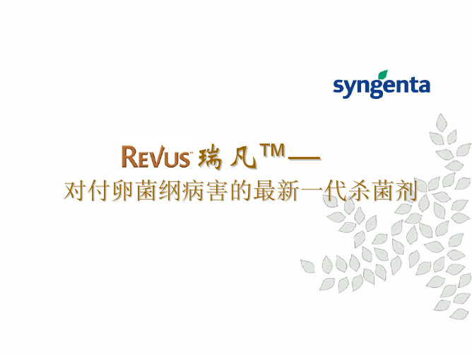 瑞凡