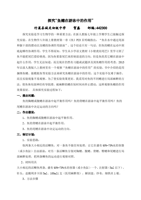 探究“鱼鳍在游泳中的作用”