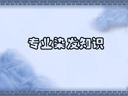 专业染发知识 PPT课件