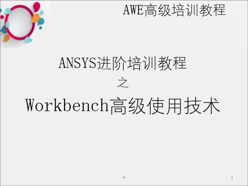 ANSYS12.0中Workbench模块高级使用技术