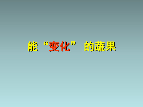 六年级上美术课件(D)蔬菜的联想苏少版