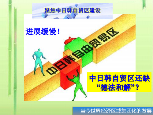 当今世界经济区域集团化的发展PPT课件11 人民版