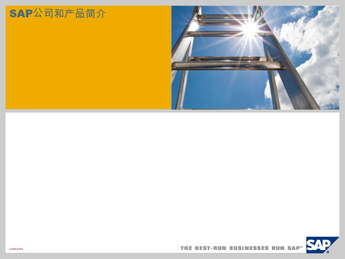 SAP公司和产品简介