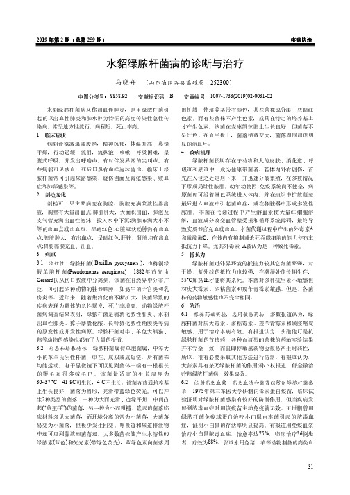 水貂绿脓杆菌病的诊断与治疗
