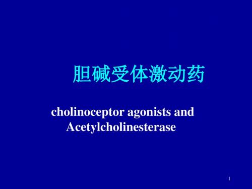 药理 胆碱受体激动药、抗胆碱酯酶药医学PPT课件