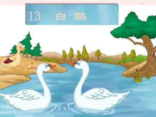 鲁教版语文三下《白鹅》优质公开课课件