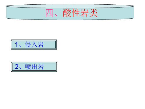 第十章酸性岩