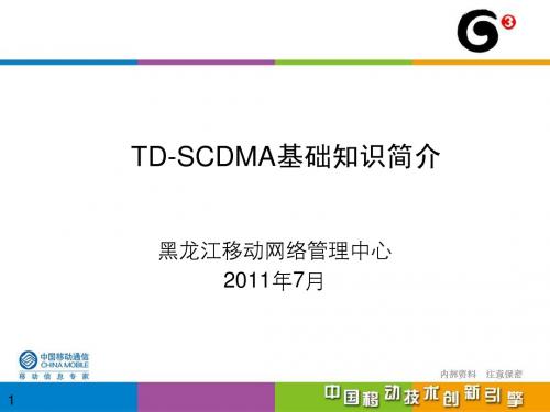 TD-SCDMA基础知识简介
