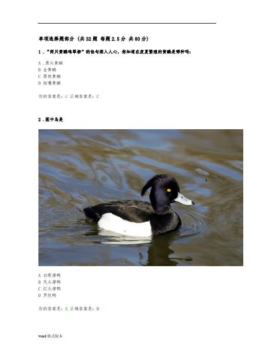 北京第二届观鸟大赛试题