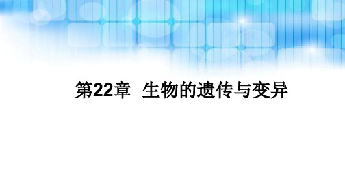 苏科版八下生物第22章 生物的遗传与变异 复习课件(共计47张PPT)